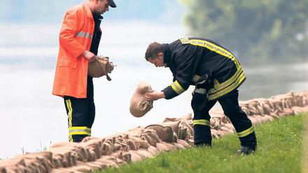 Einsatz gegen die Flut. Im Mai 2010 kämpfen Feuerwehrleute auf einem Deich bei Neuzelle (Oder-Spree) mit Sandsäcken gegen das Hochwasser. Noch heute, zwei Jahre später, leiden vor allem noch Anwohner im Oderbruch unter den Folgen.