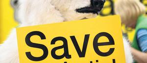 Schützt die Arktis. Greenpeace demonstrierte in der Innenstadt.