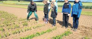 Kann man alles anfassen: Agrarwissenschaftler Bernd Hommel vom Julius-Kühn-Institut (JKI) erklärt den Fünftklässlern vom Leibniz-Gymnasium die Praxis des Pflanzenanbaus. Dabei muss man sich manchmal auch die Finger schmutzig machen.