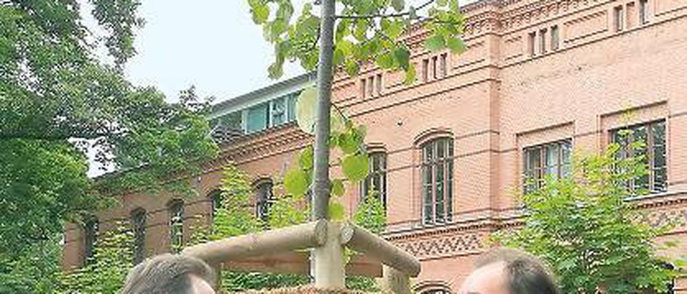 Wo ist Gunter? Oberbürgermeister Jann Jakobs (l.) mit Sekiz-Vorstand Oliver Geldener an der Linde. Nur Jubilar Gunter Gabriel, für den der Baum gepflanzt wurde, kam nicht.