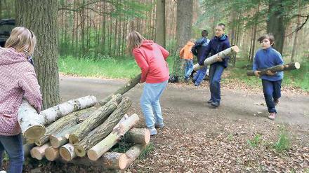 Stämme schleppen. Wie Wald sich anfühlen, lernen rund 100 Potsdamer Grundschüler am Mittwoch bei den Waldjugendspielen der Waldschule.
