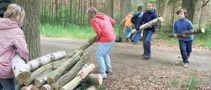 Stämme schleppen. Wie Wald sich anfühlen, lernen rund 100 Potsdamer Grundschüler am Mittwoch bei den Waldjugendspielen der Waldschule.