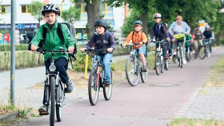 Auf sicheren Wegen: Schüler können in Rehbrücke Radwege nutzen. Zwischen den Ortsteilen fehlt diese Möglichkeit.