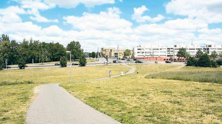Heute Bauland. Auf dem Brauhausberg-Areal nördlich der Max-Planck-Straße soll – so der Beschlussentwurf von Oberbürgermeister Jakobs – Potsdams neues Sport- und Freizeitbad entstehen. Die Linke will auch das „Minsk“ und die alte Schwimmhalle erhalten.