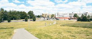 Heute Bauland. Auf dem Brauhausberg-Areal nördlich der Max-Planck-Straße soll – so der Beschlussentwurf von Oberbürgermeister Jakobs – Potsdams neues Sport- und Freizeitbad entstehen. Die Linke will auch das „Minsk“ und die alte Schwimmhalle erhalten.