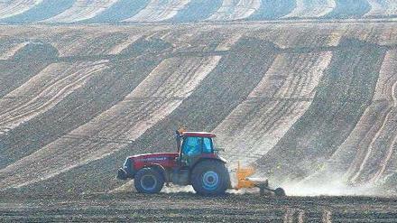 Weites Land. Zerfurcht von Kollektivierung und „Selbstsowjetisierung“ liegen sie da: riesige Agrarflächen, industriell bewirtschaftet. Was die DDR-Oberen wollten, schlägt ins Gegenteil um. Spekulanten und Finanzinvestoren verdienen mit den alten Genossenschaften.