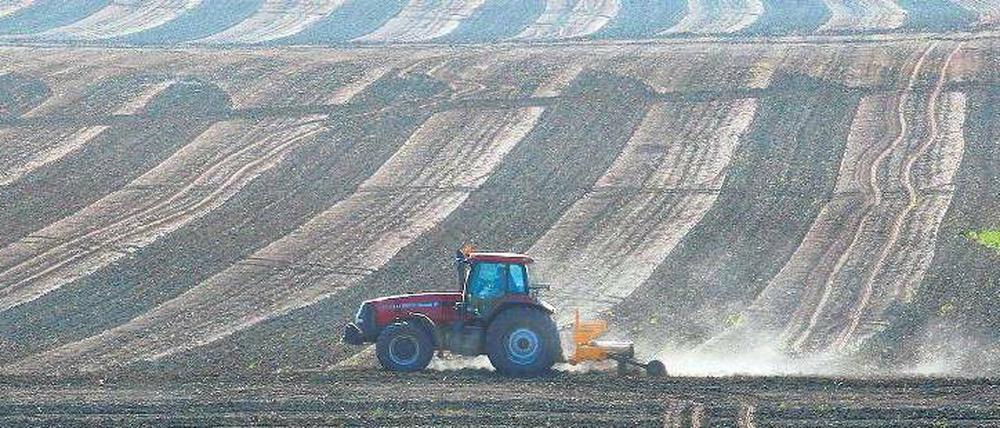 Weites Land. Zerfurcht von Kollektivierung und „Selbstsowjetisierung“ liegen sie da: riesige Agrarflächen, industriell bewirtschaftet. Was die DDR-Oberen wollten, schlägt ins Gegenteil um. Spekulanten und Finanzinvestoren verdienen mit den alten Genossenschaften.