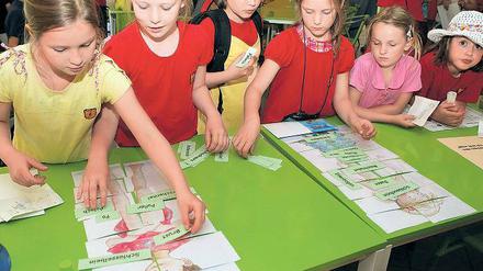 Fit für die Schule. Diese Grundschüler zeigen, was sie über den menschlichen Körper wissen – beim Schülergesundheitstag im Treffpunkt Freizeit. Rund 30 Vereine und Einrichtungen präsentieren sich dort noch bis heute mit Mitmach-Aktionen.