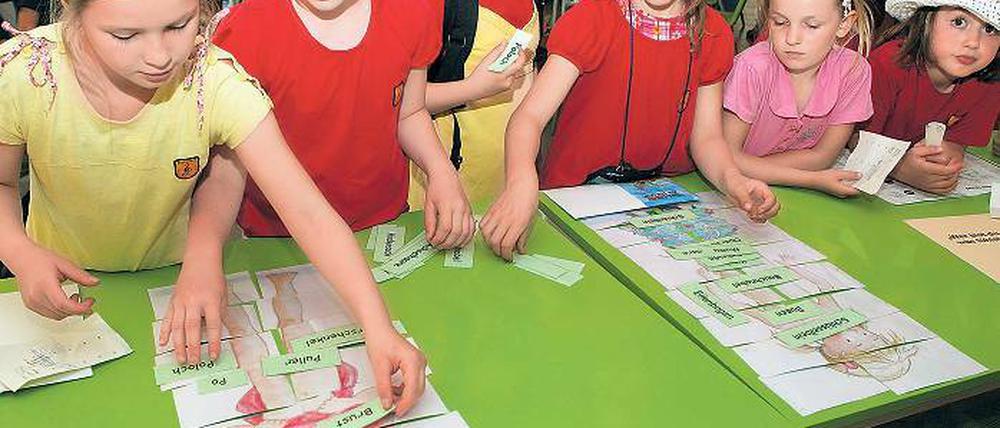 Fit für die Schule. Diese Grundschüler zeigen, was sie über den menschlichen Körper wissen – beim Schülergesundheitstag im Treffpunkt Freizeit. Rund 30 Vereine und Einrichtungen präsentieren sich dort noch bis heute mit Mitmach-Aktionen.