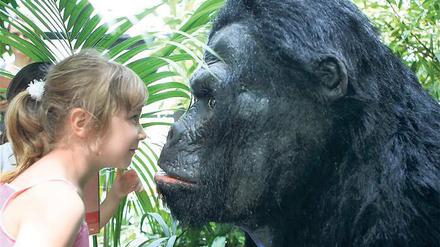 Auge in Auge. Foersterschülerin Shirley mit der Gorilla-Puppe.