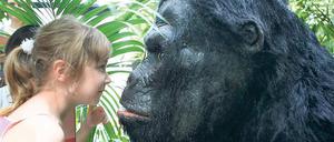 Auge in Auge. Foersterschülerin Shirley mit der Gorilla-Puppe.