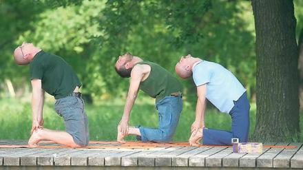 Kobra oder Kamel? Yogis im Volkspark bei gesundheitsfördernden Entspannungsübungen unter freiem Himmel.