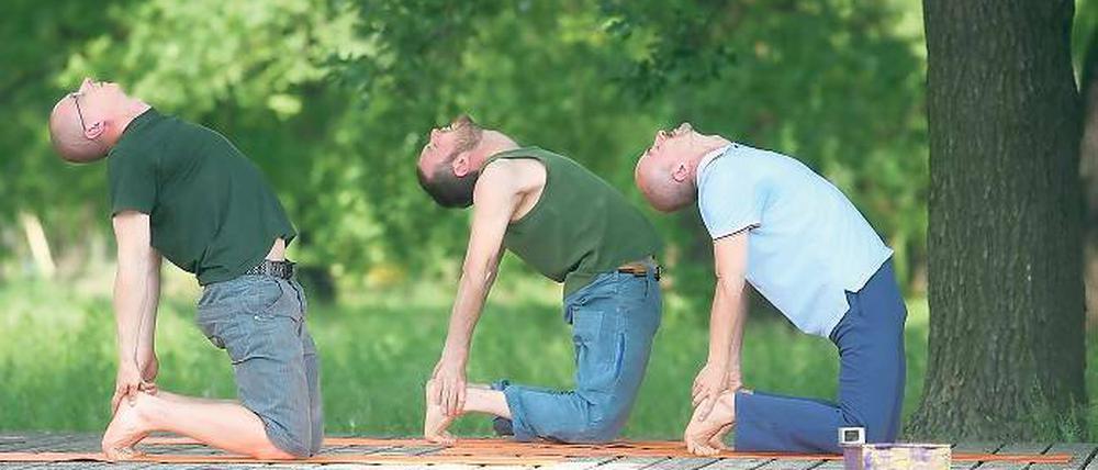 Kobra oder Kamel? Yogis im Volkspark bei gesundheitsfördernden Entspannungsübungen unter freiem Himmel.
