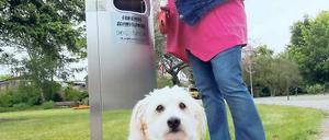 Erster Test am Wimmerplatz: In Geltow kam die Dogstation sofort an.