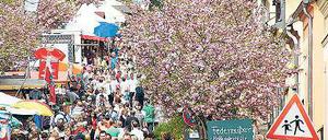 Geteilte Festmeile: „50 Prozent nehmen den Hohen Weg“.