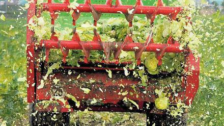 Geschlossene Kreisläufe. Die Natur kennt keinen Abfall, alles ist recycelbar.