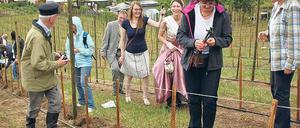 Sonnige Stimmung trotz Regenguss: Die Wein-Pächter brachten am Freitag die letzten der insgesamt 2000 Rebstöcke in die Erde. In drei Jahren dürfen sie den ersten Wein vom Werderaner Galgenberg probieren.