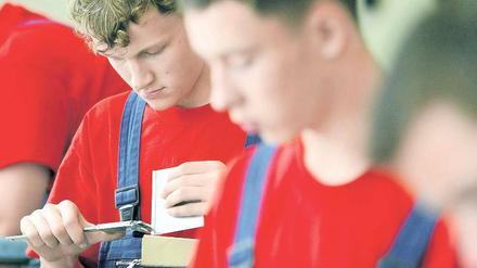 Berufliche Perspektiven. Auch in vielen mittelmärkischen Industriebetrieben werden Lehrlinge gesucht – vor allem in den Berufen Metall-, Straßen- oder Tiefbauer sowie Maschinen- und Anlagenführer.