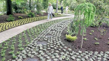 Trauerpfade. Der „Garten der Erinnerung“ lädt zur Besinnung ein.