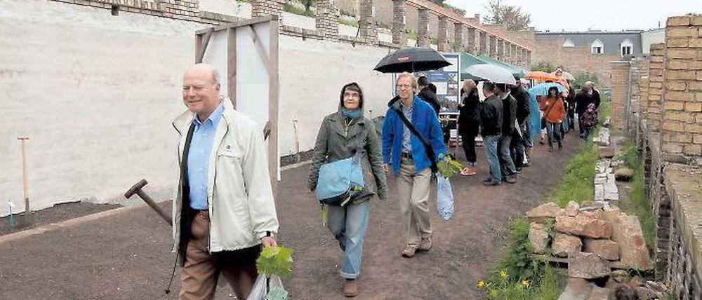 Anmarsch zur Pflanzpremiere. 99 Weinstöcke wurden am Samstag an Mitglieder des Bauvereins Winzerberg e.V. ausgegeben und auf den wiederhergestellten Terrassen gepflanzt. Bei Regenwetter brauchten die Neupflanzungen zumindest nicht übermäßig gewässert werden.
