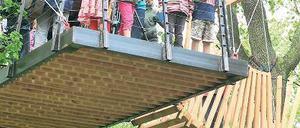 Baumschiff Enterprise.Nur Fliegen ist schöner.