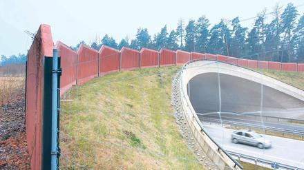 Service für Wildtiere. Seit 2005 überspannt eine Grünbrücke die A 11 in der Uckermark. Eine solche Brücke gibt es jetzt auch über der A2 bei Niemegk.