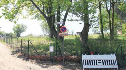 Schöne Grundstücke unweit des Jungfernsees. Die Stadt Potsdam sieht ihren Verkaufserlös von 75,40 Euro pro Quadratmeter nicht als zu niedrig an. „Fehler bei der Wertermittlung konnten nicht festgestellt werden“, heißt es in der Antwort auf eine Anfrage der CDU/ANW-Fraktion.