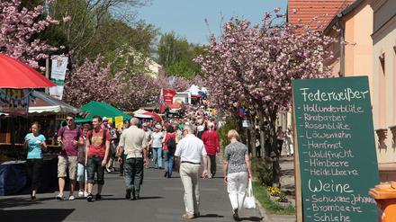Friedliches Fest: Das Baumblütenfest blieb bislang friedlich.