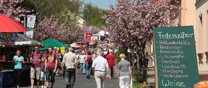 Friedliches Fest: Das Baumblütenfest blieb bislang friedlich.