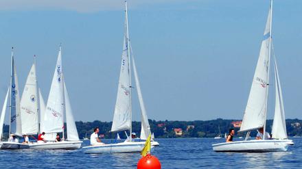 Segler auf dem Wannsee. Foto: