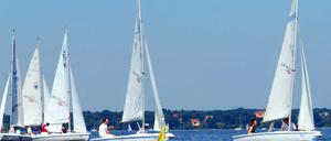 Segler auf dem Wannsee. Foto: