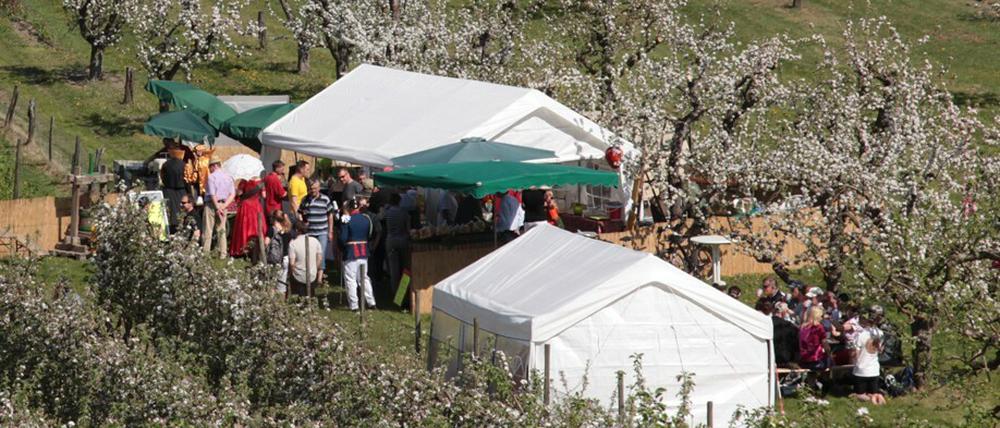 Auch im Garten von Obstbauer Wels wird das traditionelle Baumblütenfest gefeiert.
