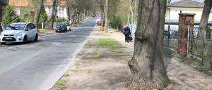 Streitfall Seepromenade. Dass die Straße in Groß Glienicke ausgebaut werden soll, ist beschlossene Sache. Anwohner kritisieren jetzt die geplante Beteiligung an den Ausbau-Kosten. Zudem befürchten sie mögliche Schädigungen an den Bäumen.