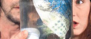 Lebt er noch oder glotzt er nur? Pierre Schäfer und Friederike Hellmann mit einem der Hauptdarsteller in ihrem Puppenmärchen „Ilsebill“.