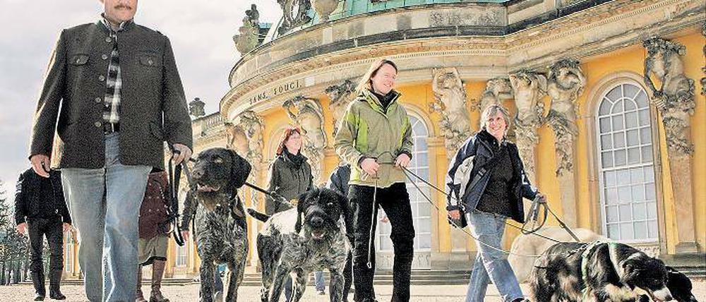 Auf den Hund gekommen. Hundetrainer aus ganz Deutschland absolvierten an der IHK Potsdam die Weiterbildung zum Hundefachwirt. Höhepunkt zum Abschluss des Kurses war ein Rundgang durch die Landeshauptstadt mit Besuch in Sanssouci, wo Friedrich II. neben seinen geliebten Vierbeinern ruht.