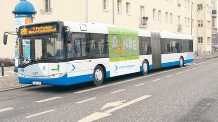 Dank an die Fahrgäste: Einige Havelbusse sind zum Jubiläum mit Sonnenblumen-Design geschmückt worden.