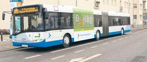 Dank an die Fahrgäste: Einige Havelbusse sind zum Jubiläum mit Sonnenblumen-Design geschmückt worden.