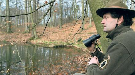 Kontrollgang. Das Totalreservat des Grumsiner Forstes im Biosphärenreservat Schorfheide-Chorin ist Arbeitsstätte des Rangers Siegmund Gaudeck von der Naturwacht.