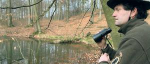 Kontrollgang. Das Totalreservat des Grumsiner Forstes im Biosphärenreservat Schorfheide-Chorin ist Arbeitsstätte des Rangers Siegmund Gaudeck von der Naturwacht.