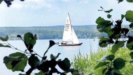 Paradiesisch. Segelboot auf der Havel bei Kladow in Berlin.