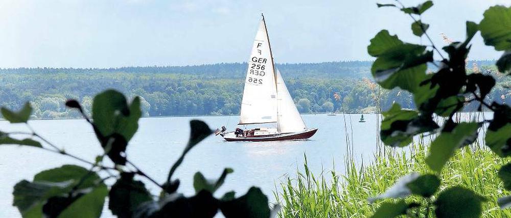 Paradiesisch. Segelboot auf der Havel bei Kladow in Berlin.