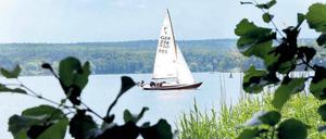 Paradiesisch. Segelboot auf der Havel bei Kladow in Berlin.