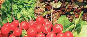 Im Frühling Radieschen und Salat. Im Sommer dann Kartoffeln, Kürbis und mehr. Was die Natur eben so hergibt, direkt vom Bauernhof. Meistens ist es lecker und gesund.