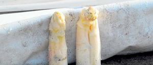 Erste Spitzen: Offizieller Spargelanstich ist am 19. April.