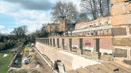 Aufgemauert. Sieben Jahre nach dem Beginn des Bürgerengagements am Winzerberg ist die einst verwahrloste Anlage nicht wiederzuerkennen. In drei Jahren will der Bauverein den alten Weinberg, den Friedrich II. anlegen ließ, fertiggestellt haben.