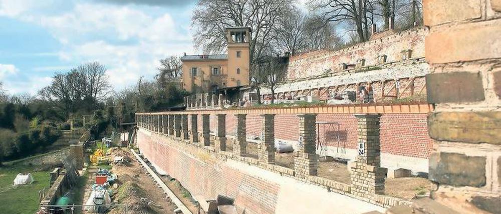 Aufgemauert. Sieben Jahre nach dem Beginn des Bürgerengagements am Winzerberg ist die einst verwahrloste Anlage nicht wiederzuerkennen. In drei Jahren will der Bauverein den alten Weinberg, den Friedrich II. anlegen ließ, fertiggestellt haben.
