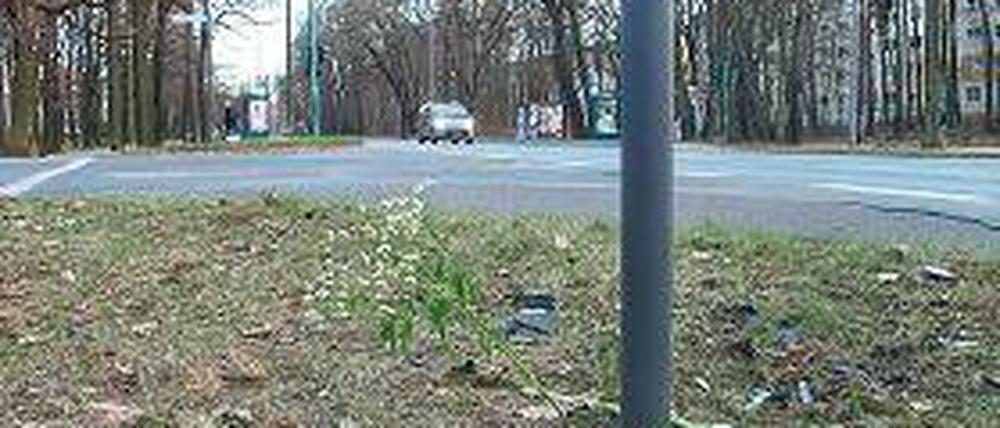 Der Unglücksort. Blumen erinnern an das Todesopfer.