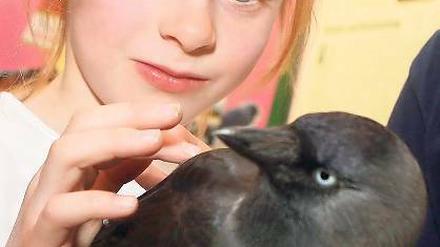 Erlebter Frühling. Carlotta mit einer Dohle, dem Vogel des Jahres 2012.