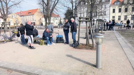 In die Ecke gedrängt: Vom Plantagenplatz muss das Trüppchen manchmal in die Umgebung ausweichen.