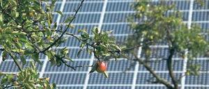 Die grüne Seite von Michendorf: Photovoltaikanlagen, wie die auf dem Scheunendach von Landwirt Jens Schreinicke, sollen künftig das Ortsbild prägen. Einen teuer bezahlten Klimaschutzmanager braucht man dafür erstmal nicht, meint die Verwaltung.